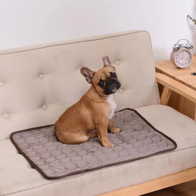 Cooling Dog Mat – Breathable Summer Pet Pad for Cats & Dogs, Washable & Portable