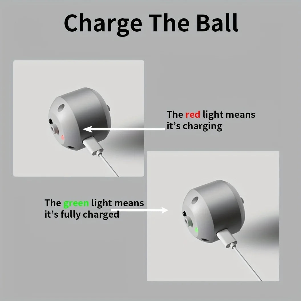Smart Interactive Pet Toy Ball for Dogs & Cats