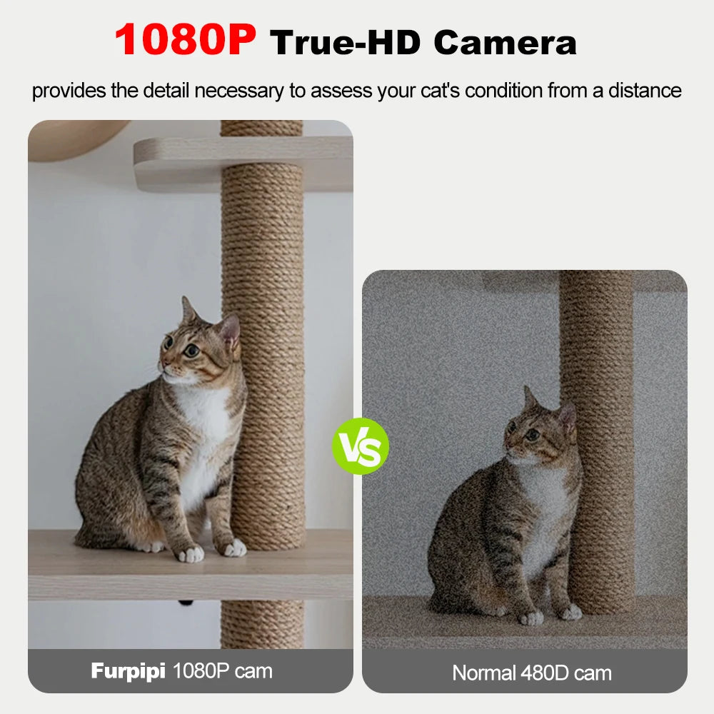 8L Smart Automatic Pet Feeder – HD Camera, Voice Control & App