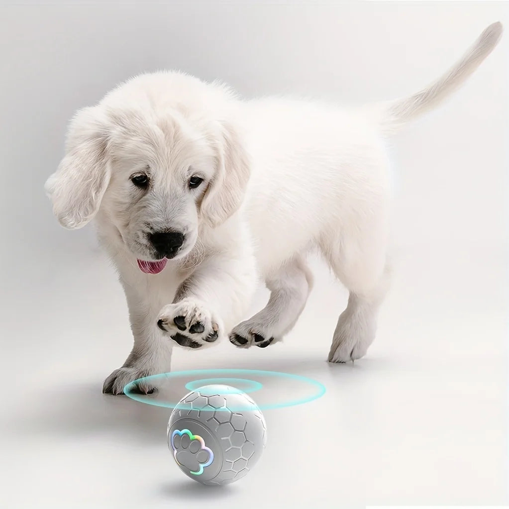 Smart Interactive Pet Toy Ball for Dogs & Cats