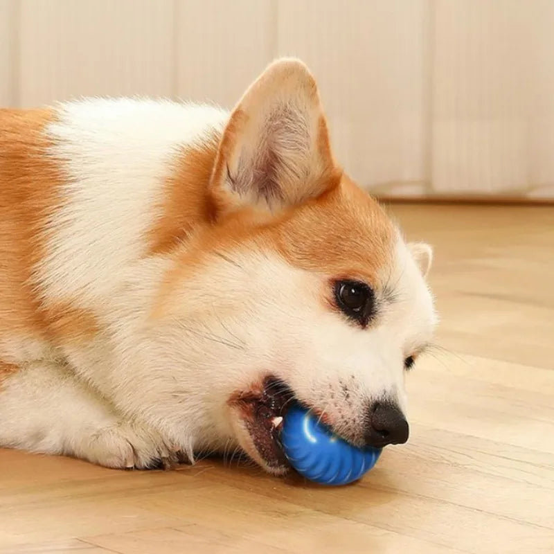 Interactive Smart Play Ball