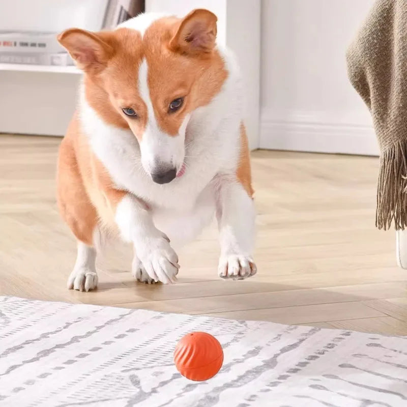 Interactive Smart Play Ball