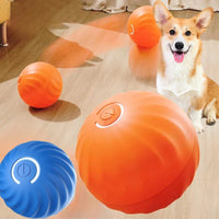 Interactive Smart Play Ball