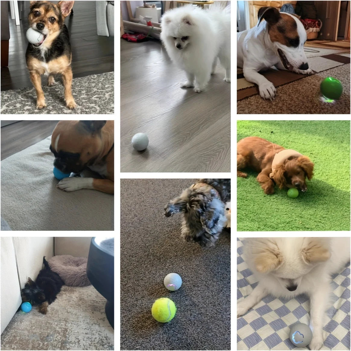 Smart Interactive Pet Toy Ball for Dogs & Cats