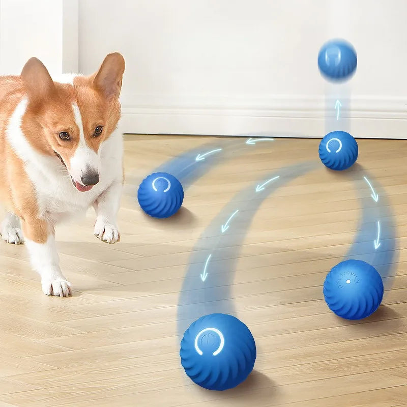 Interactive Smart Play Ball