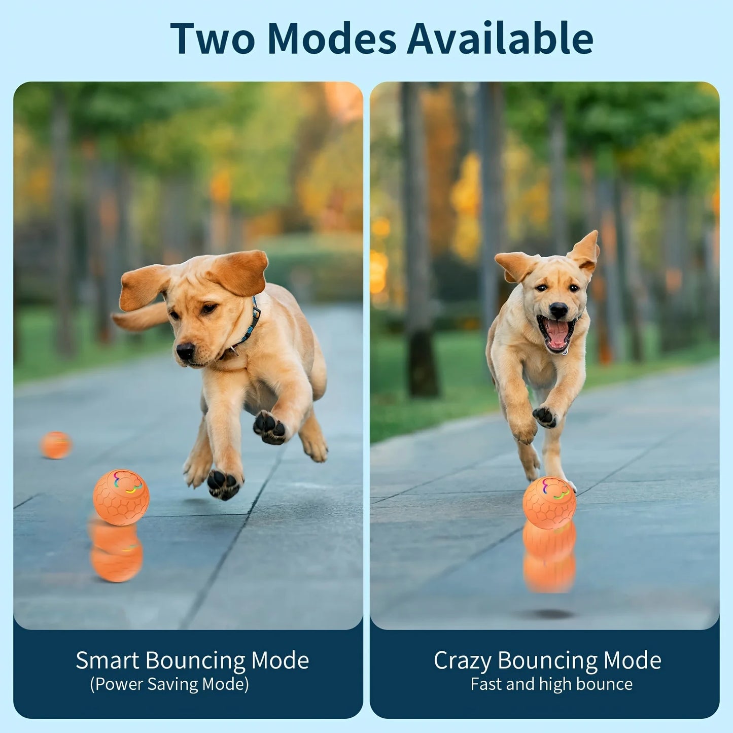 Smart Interactive Pet Toy Ball for Dogs & Cats