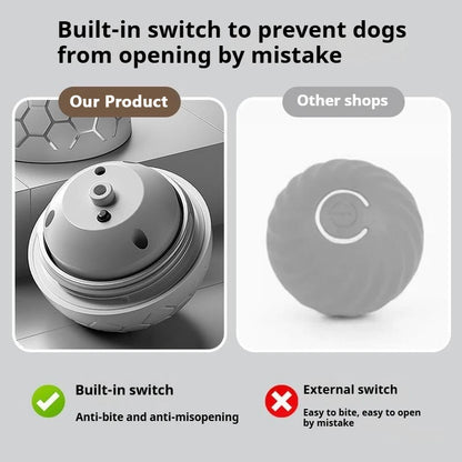 Smart Interactive Pet Toy Ball for Dogs & Cats
