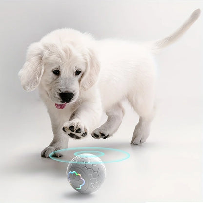 Smart Interactive Pet Toy Ball for Dogs & Cats