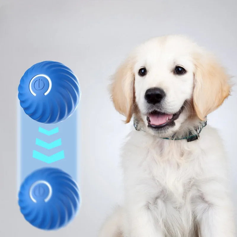 Interactive Smart Play Ball