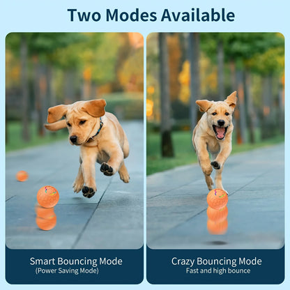 Smart Interactive Pet Toy Ball for Dogs & Cats